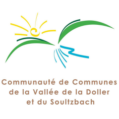 CCVDS